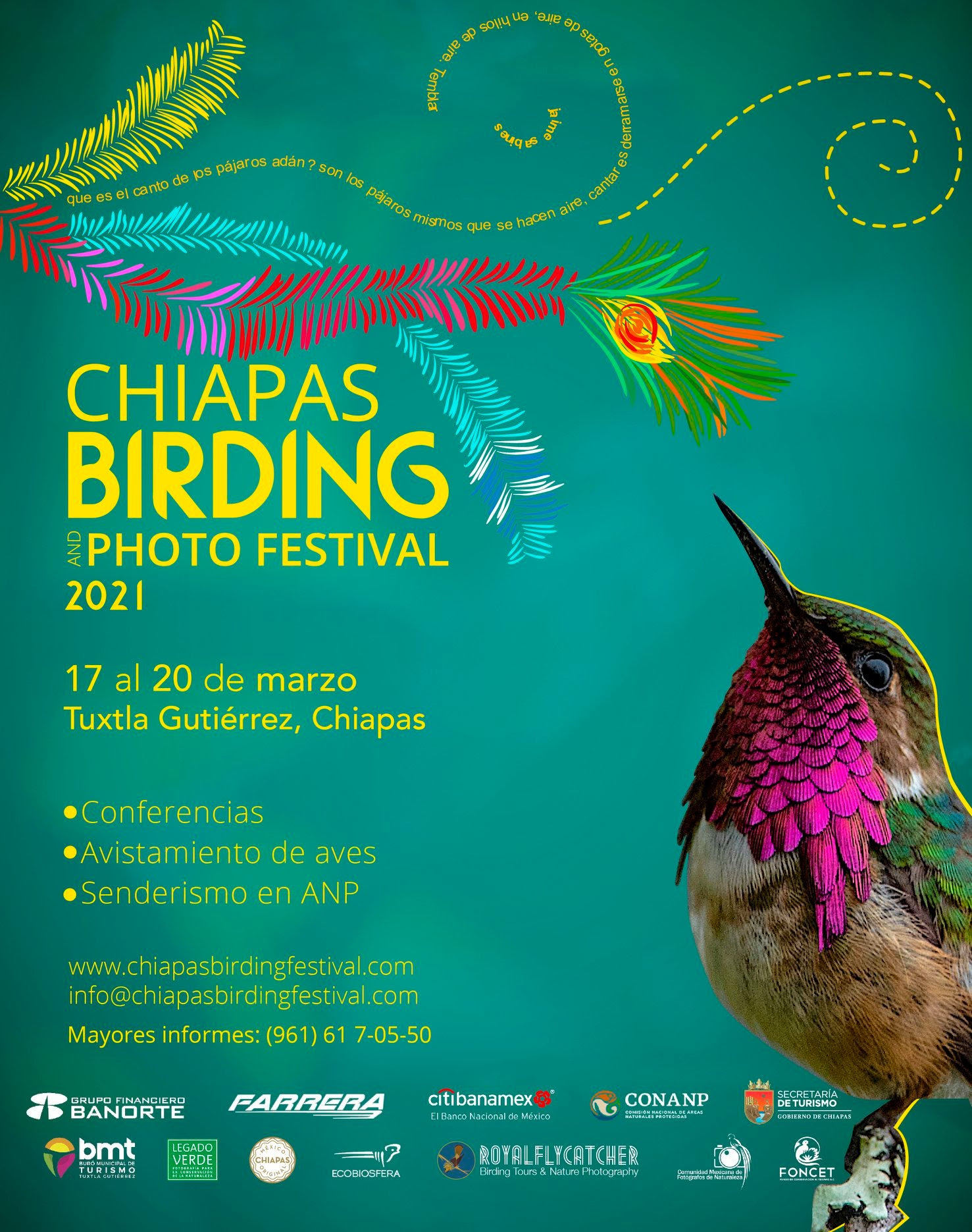SE REALIZARÁ LA SEGUNDA EDICIÓN DE CHIAPAS BIRDING AND PHOTO FESTIVAL 2021