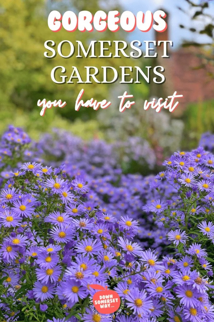 Gorgeous Somerset Gardens you have to visit