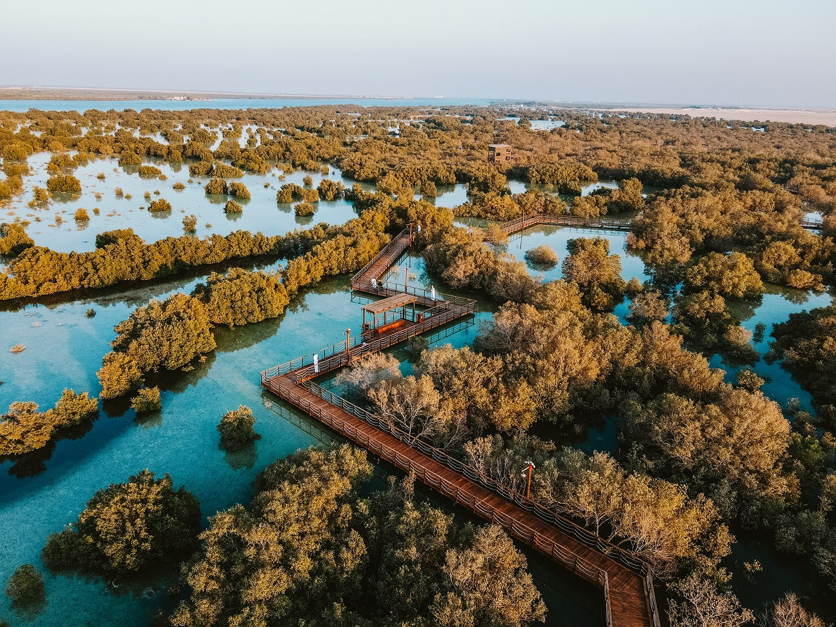 Jubail Mangrove Park 