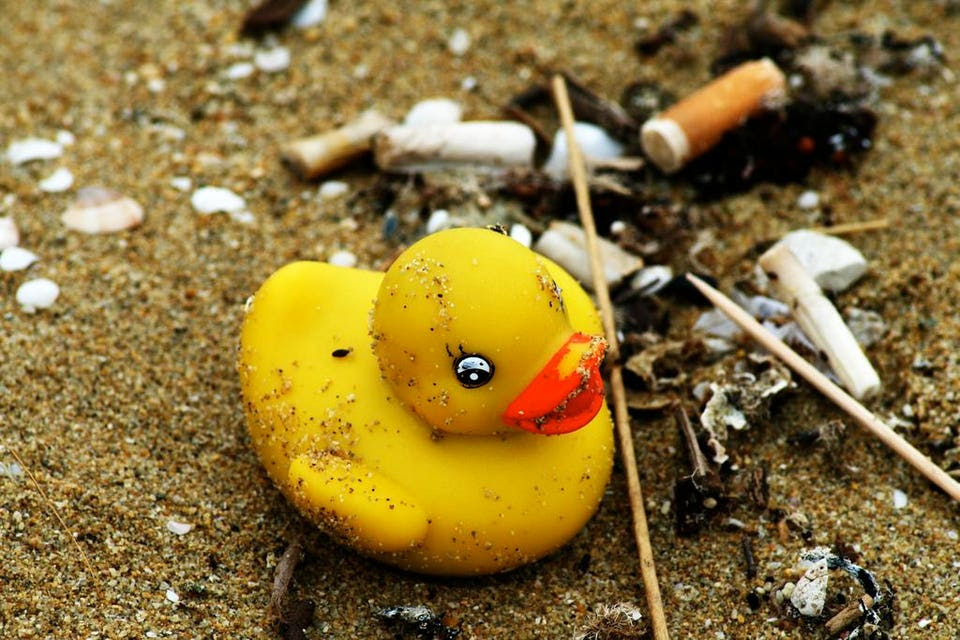Beached “rubber” duckie, nestled amongst other trash, mostly comprised of plastics debris. (credit:... [+] Alexander Kaiser / CC-BY 2.0)