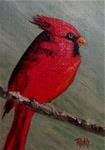 Angry Cardinal - Posted on Sunday, December 7, 2014 by Ruth Stewart