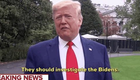 donald trump impeachment they should investigate the bidens GIF