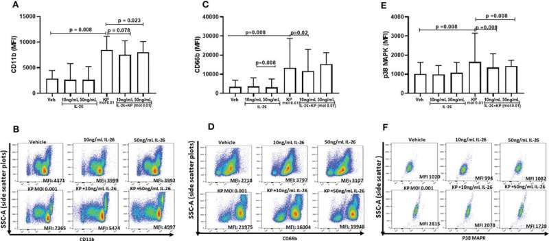 Study identifies new potential drug target for pneumonia