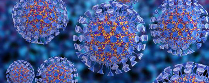 image of Influenza virus