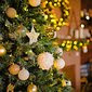 Price Levels And Supply Chains Will Impact Christmas Tree Prices This Year