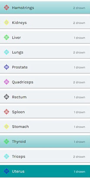 In past research people have struggled to point out the spleen, gallbladder and adrenal glands