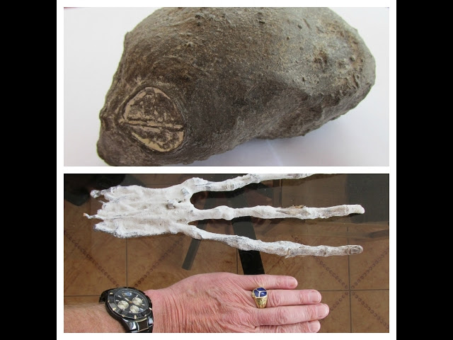 Two Strange Organic Artifacts Found In The Desert Of Nazca In Peru  Sddefault