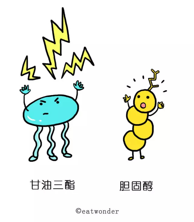 吃惑 【收藏】 - 雪花飞舞 - 健康、美食、生活网