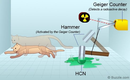 Thế giới mà chúng ta đang sống có thật, hay nó chỉ là một trò chơi mô phỏng? - Ảnh 7.