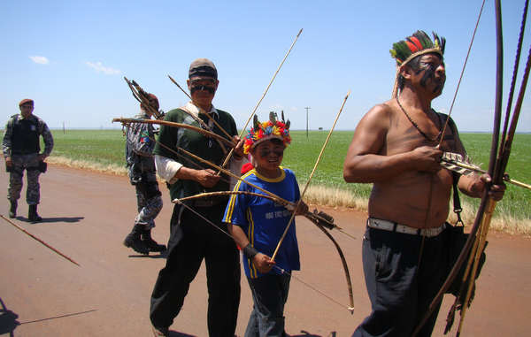 The Guarani feel a deep sense of connection to their land and have protested against its theft and destruction