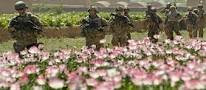 USA forsyner sine 4 terrorgrupper (= IS) via luften, derfor vil ikke Merkel ha flyforbudssone