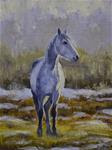 Longmont Mare, $75, 6x8 signed oil, miniature, western, horse - Posted on Saturday, January 24, 2015 by Sean Conrad