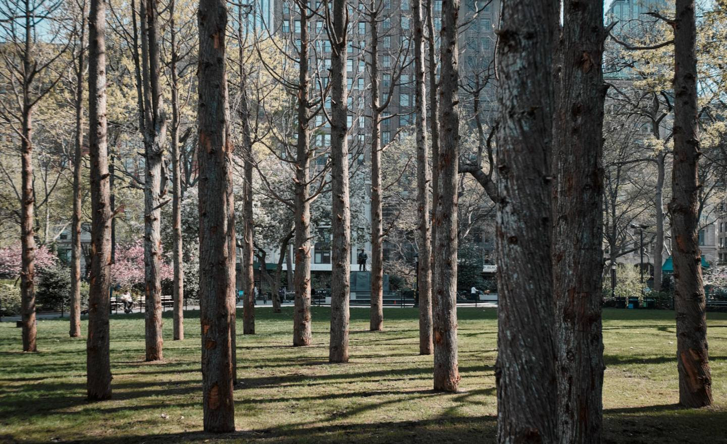 Trees