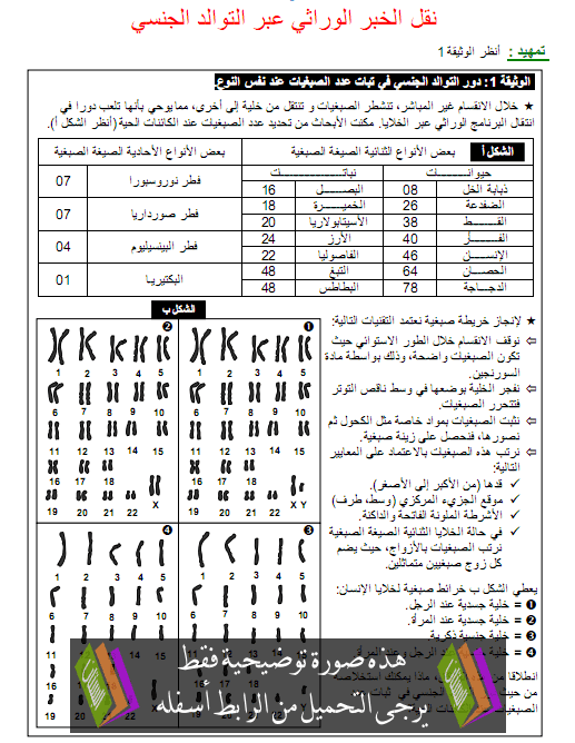 درس القوانين الاحصائية لانتقال الصفات الوراثية عند ثنائيات الصيغة الصبغية – علوم الحياة والأرض – الثانية باكالوريا علوم زراعية Na9l-alkhabar-alwirati