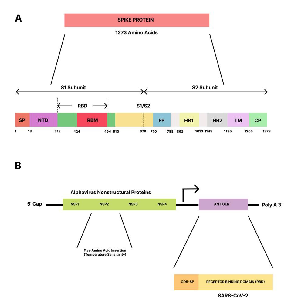 1a) Breakdown of SARS-CoV-2 Spike genome 1b) Breakdown of Amano et al. vaccine design