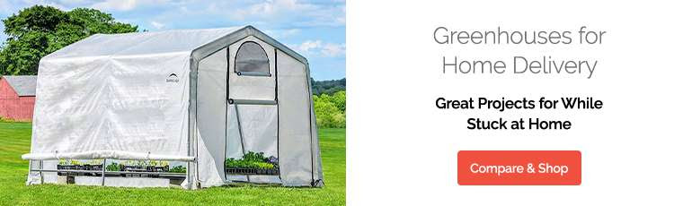 Greenhouses with home delivery shop and compare here
