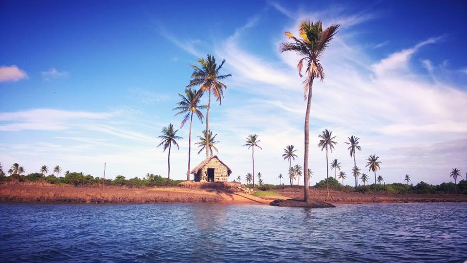 Uma das paisagens que se pode ver do passeio de barco até o encontro do rio com o mar em Piaçabuçu, Alagoas.