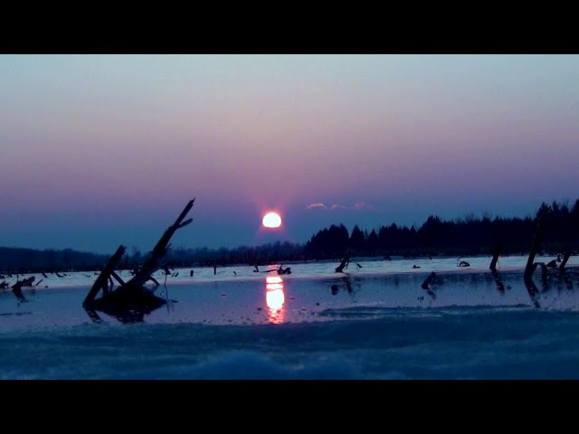 NIBIRU News ~ REAL 100% Nibiru and the sun !!!FLORIDA plus MORE Sddefault