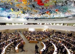 Newsletter focus unhrc