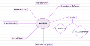 Agilitätstraining 