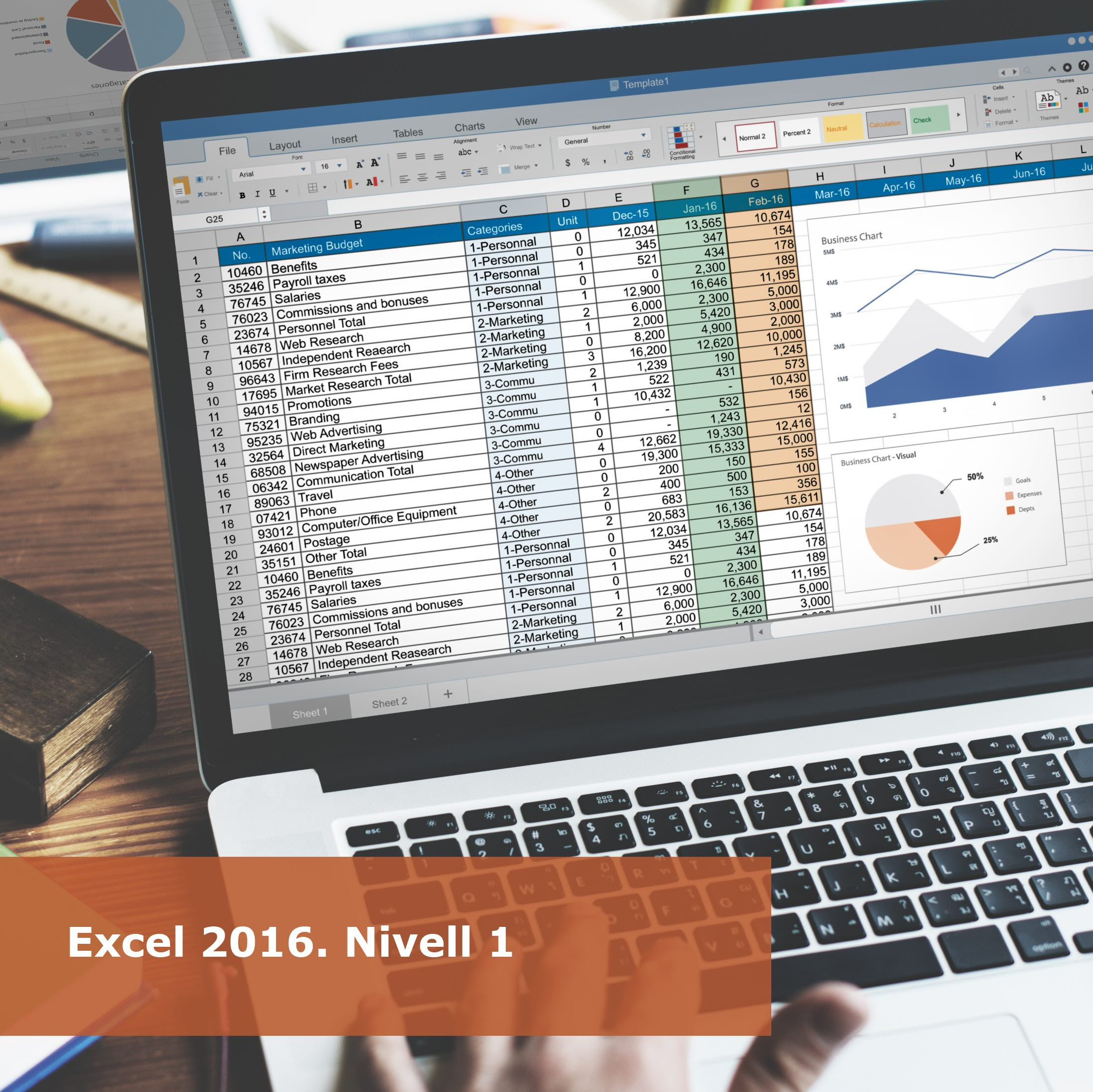 Excel 2016. Nivell 1