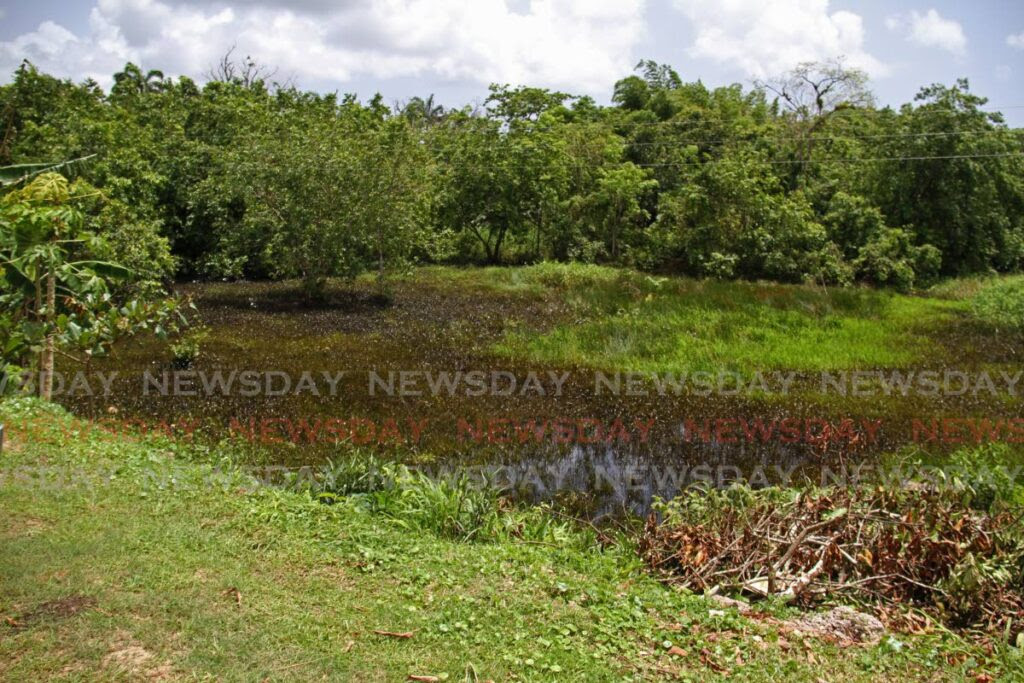 Touchstone Exploration (Trinidad) Ltd and Primera Oil and Gas Ltd worked together at Gowers Well Road in Fyzabad on Thursday to clean up an oil spill. - Marvin Hamilton