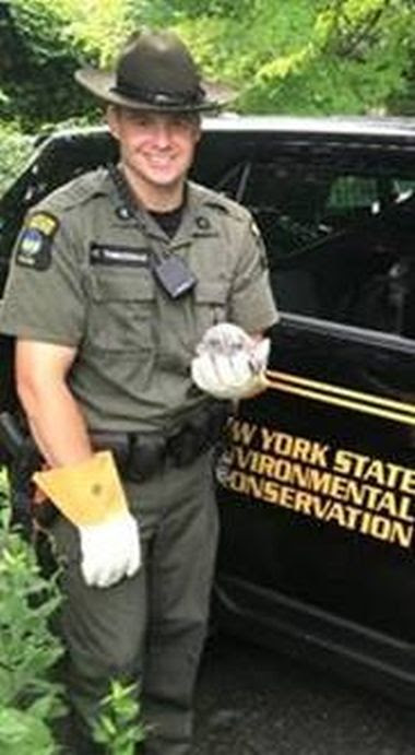 eco wearing gloves holding small owl next to vehicle