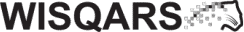 logo_WISQARS_244x34.png WISQARS lgo