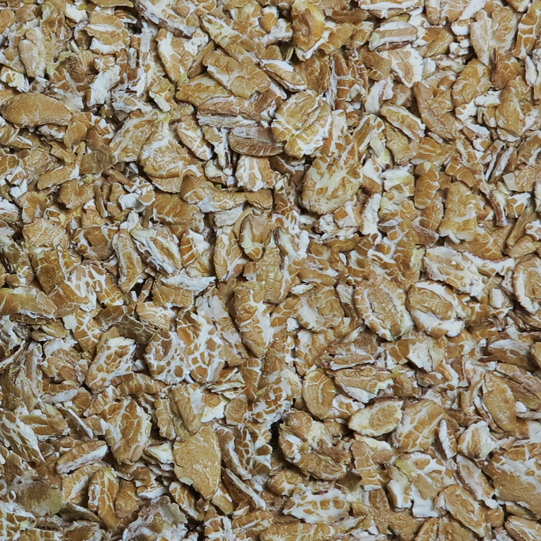 UniGrain Rolled Triticale