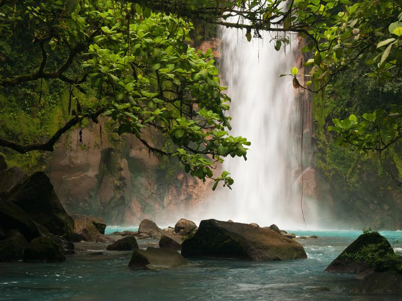 Relax in a rainforest getaway.