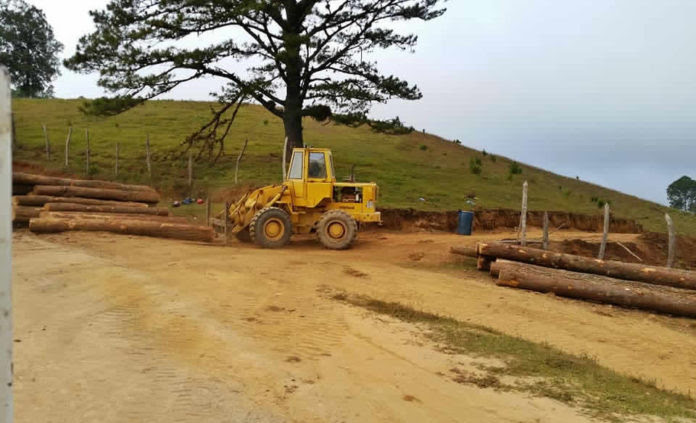 Extracción de madera