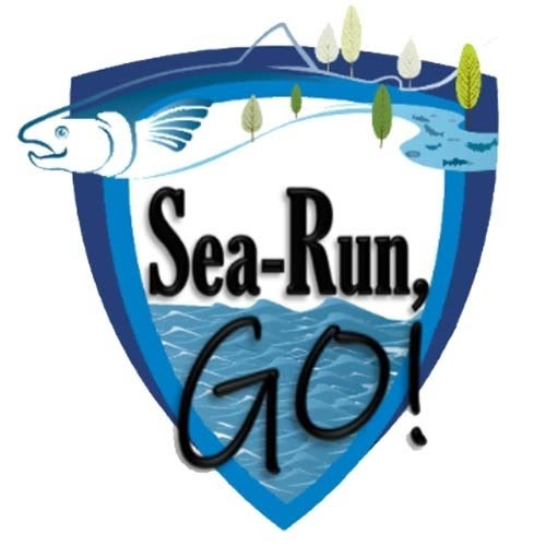 sea run go logo.jpg