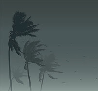 Tropical Storm