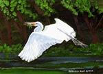 Gliding Egret - Posted on Monday, March 2, 2015 by Patricia Ann Rizzo