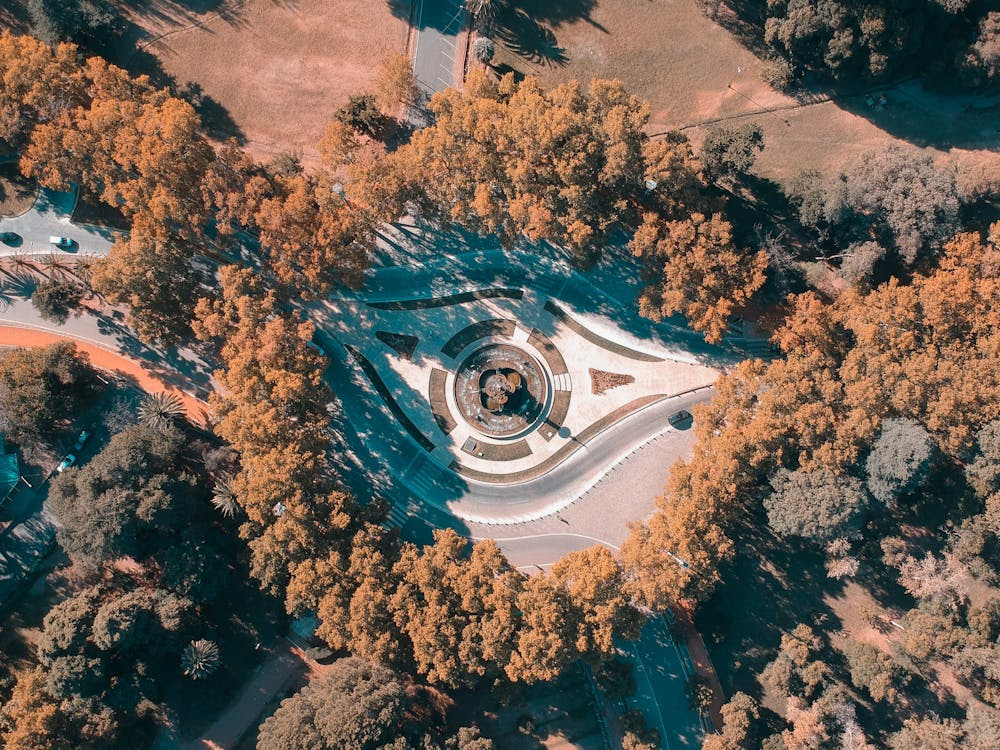 Fotografia Aérea De árvores Perto Da Estrada