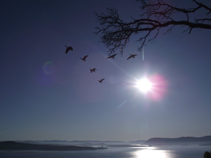 Quand les poètes nous parlent de Dieu!!!!(chaque Lundi) Gulf-islands-2824623_1280