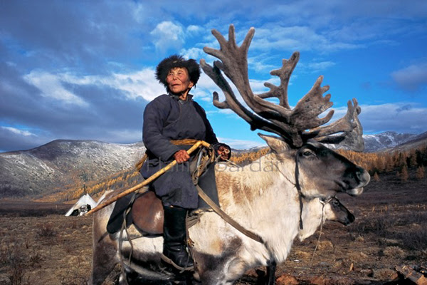 reindeer-people-hamid-sardar-a-4767-4308
