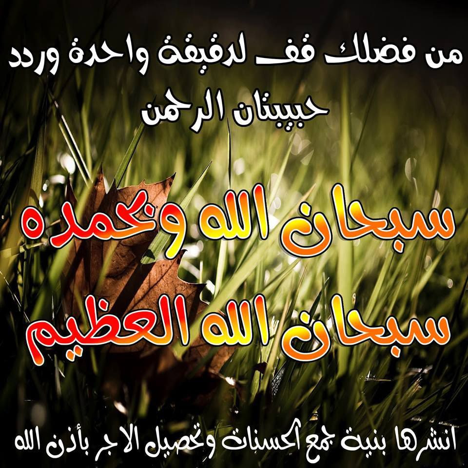 صور اسلامية Ob_7428eb_1239412-10152337941611226-551057527548