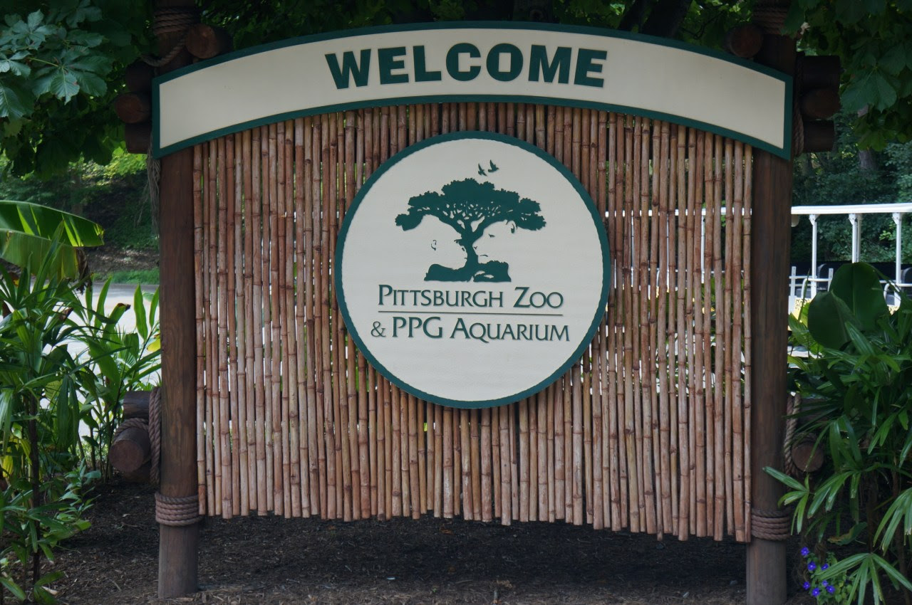 The zoo is open starting at 9:00 a.m. A Day at The Pittsburgh Zoo & PPG Aquarium