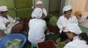 south-korea-food-sovereignty-community-resilience