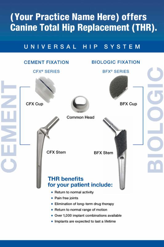 Micro Total Hip Replacement for Pets, Carolina Veterinary Specialists