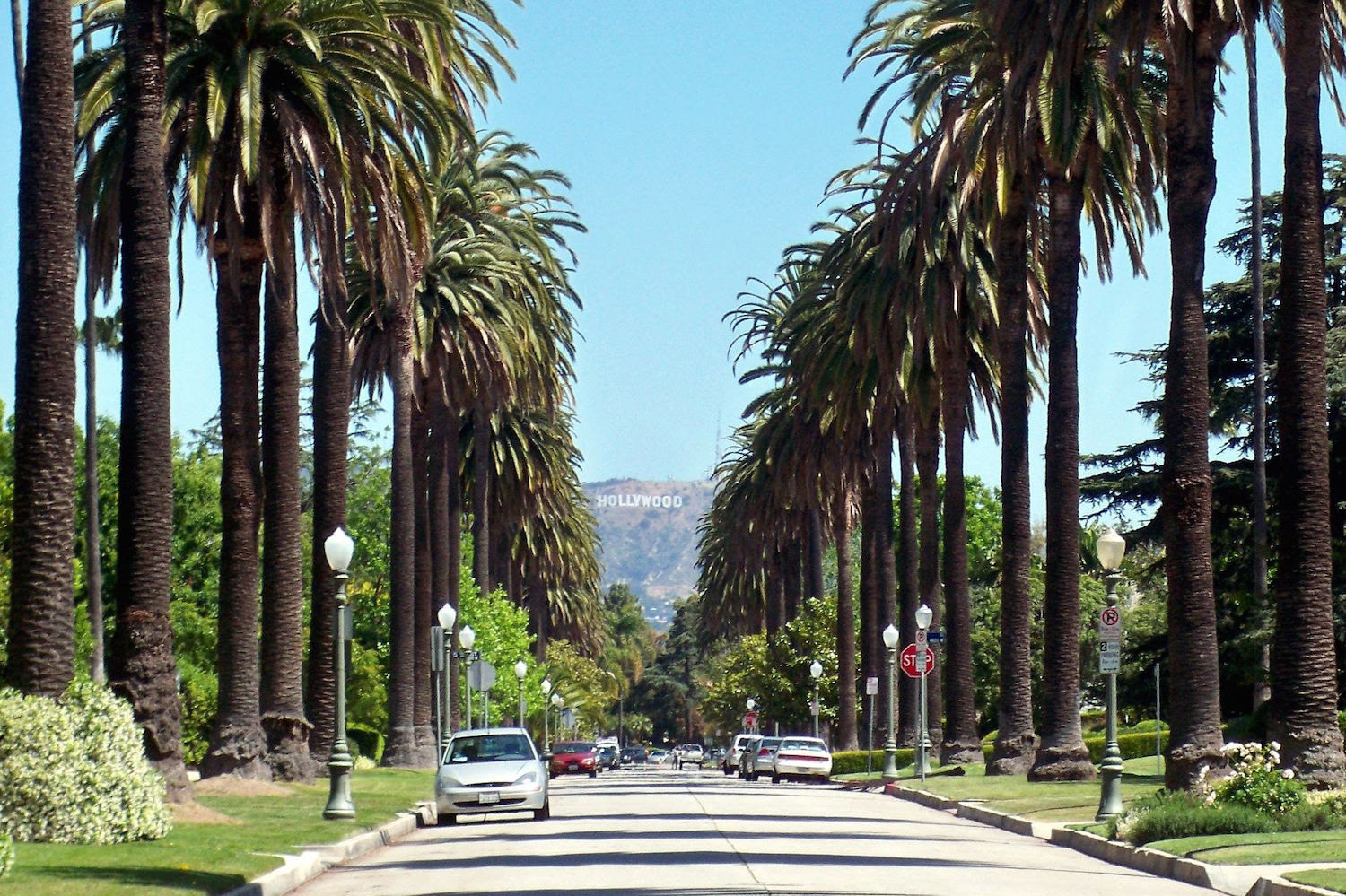 Plus, a list of products offered and how to contact each tree nursery near you. This is Not Your Typical Day in L.A.