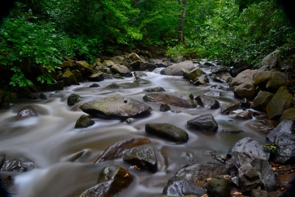 SligoCreek_by_Gianokos.jpg