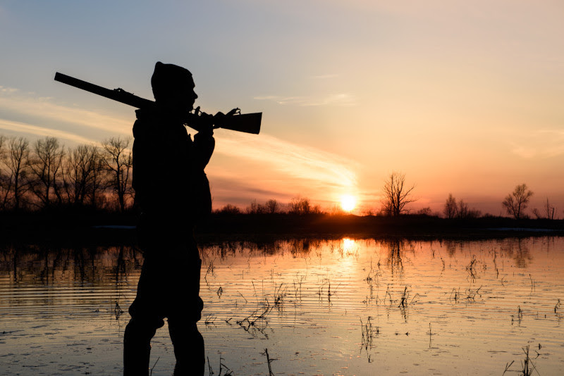 Silhouette of a hunter shouldering a shotgun in front of a marsh at sunset