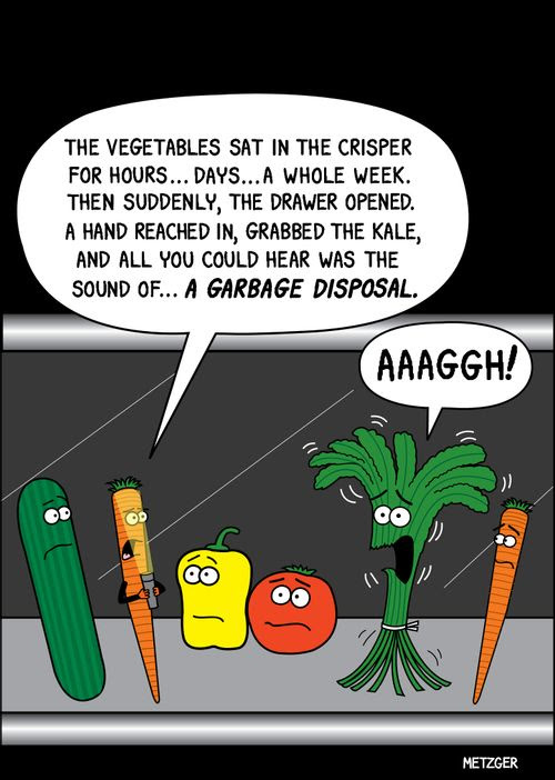 'The vegetables sat in the crisper for hours...days...a whole week. Then suddenly, the drawer opened. A hand reached in, grabbed the kale, and all you could hear was the sound of...A Garbage disposal.'