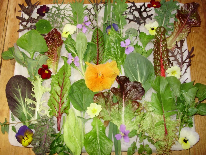 'Equinox Celebration Salad'  34 different leaves plus edible flowers all picked from the polytunnel