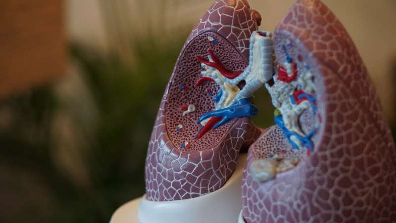 Study: Long-term disabilities linked to TB