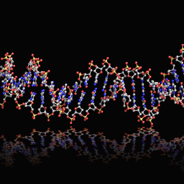 red & blue DNA strand