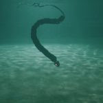 Underwater maintenance robot-snakes look scary but are actually quite cool