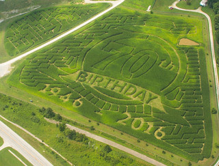 Holiday World's Corn Maze